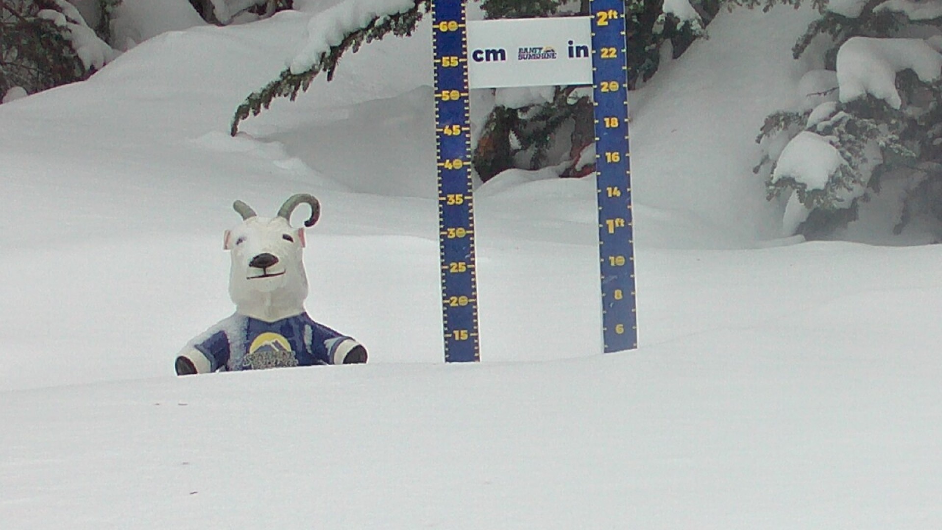 Archived image Webcam Sunshine Village: Snow Depth