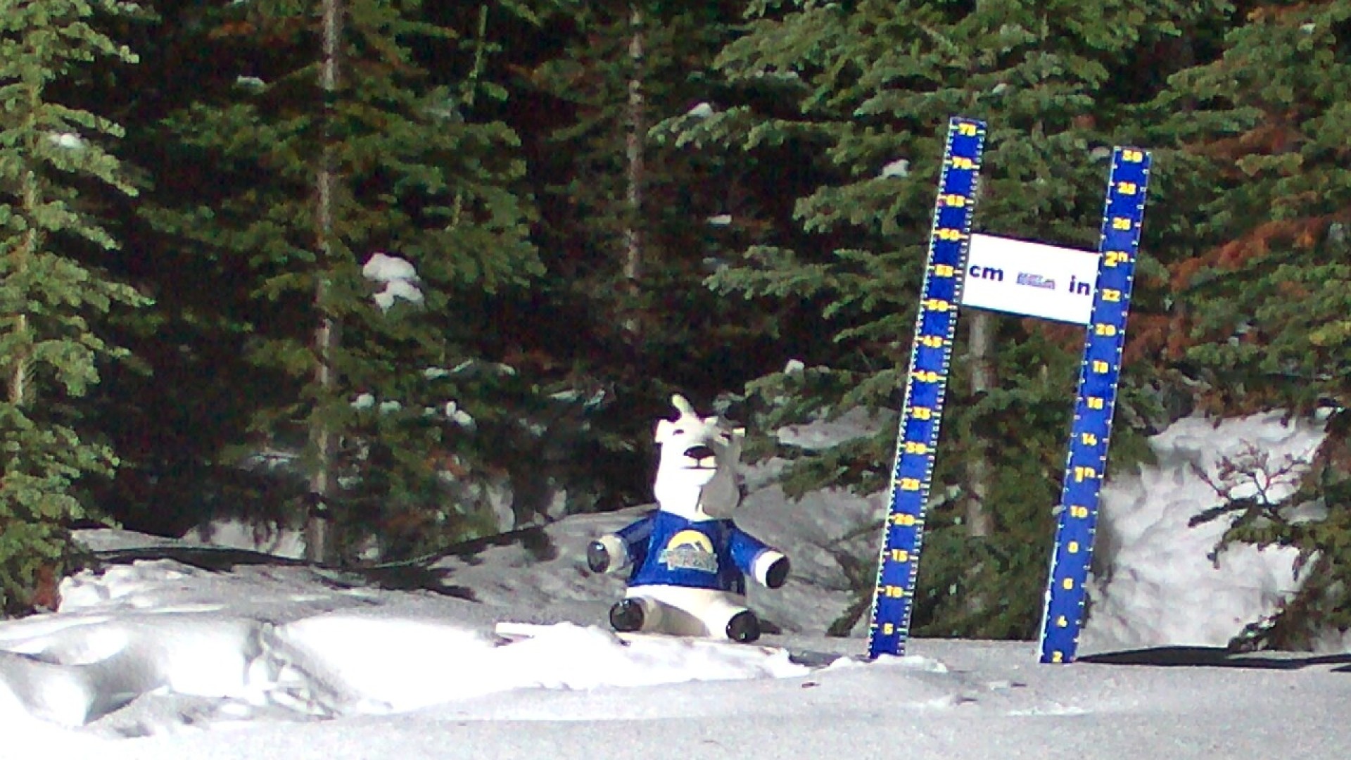 Archiv Foto Webcam Sunshine Village: Aktuelle Schneehöhe