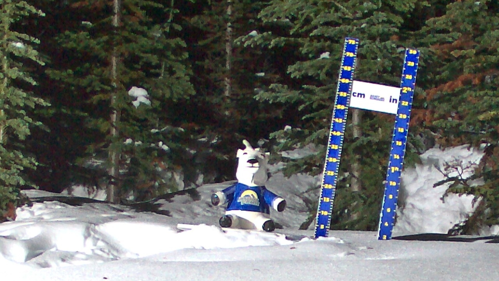 Archived image Webcam Sunshine Village: Snow Depth