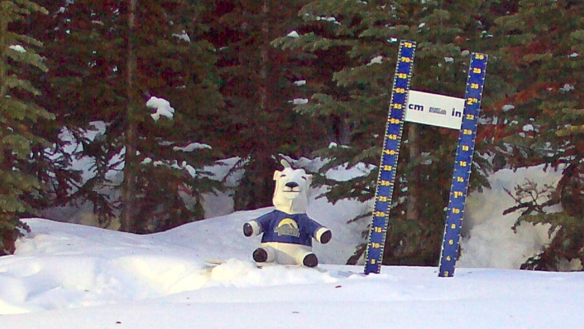 Archived image Webcam Sunshine Village: Snow Depth