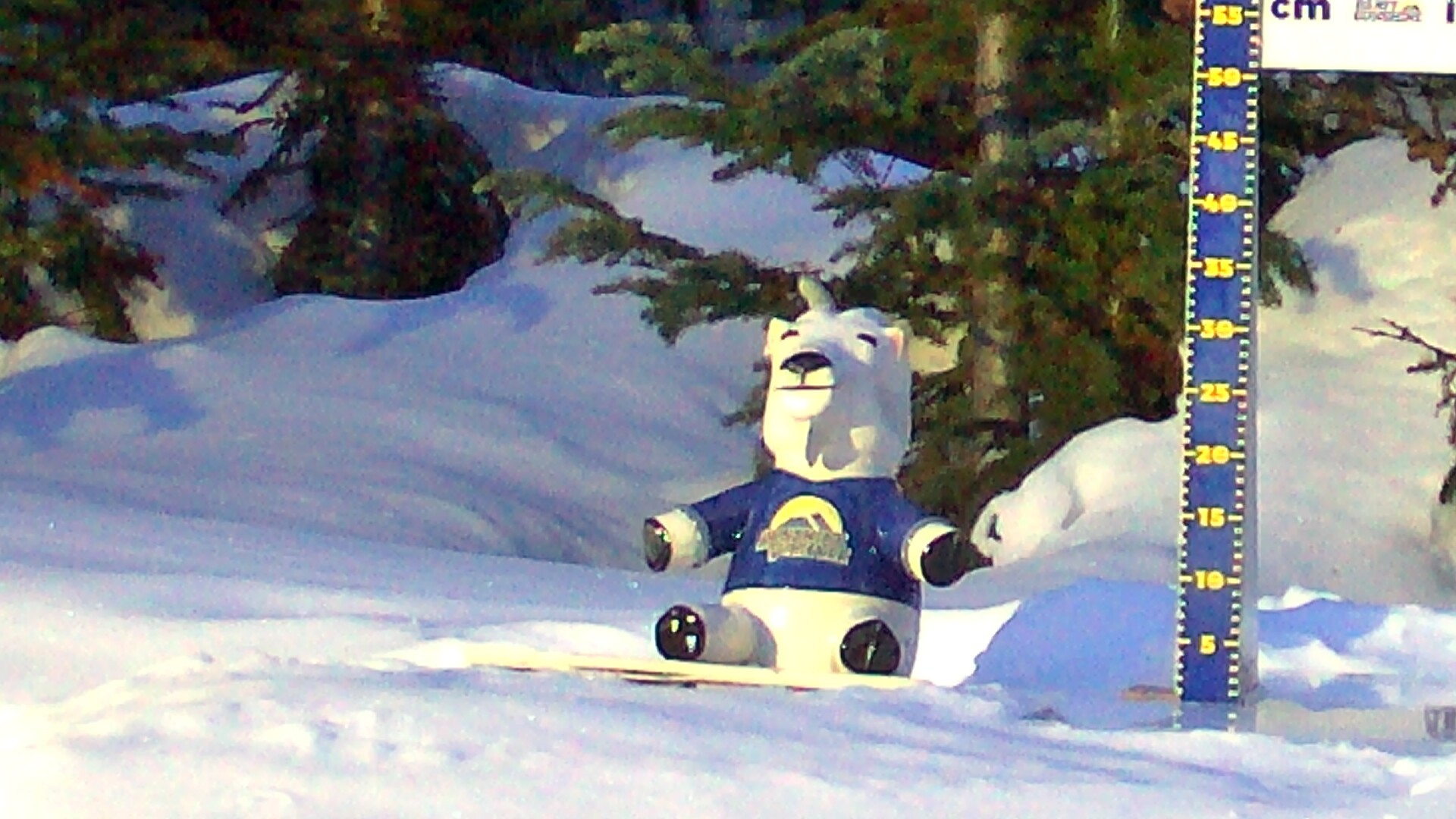 Archiv Foto Webcam Sunshine Village: Aktuelle Schneehöhe