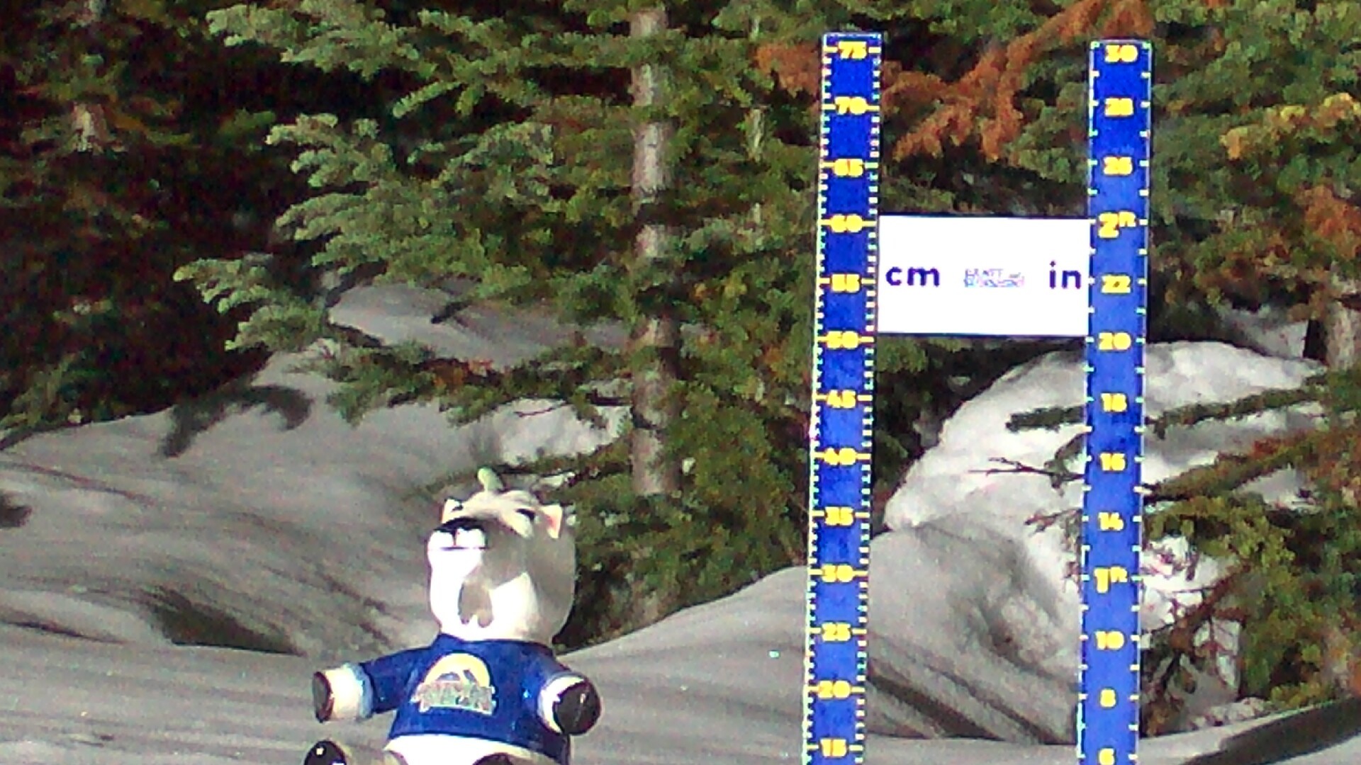 Archiv Foto Webcam Sunshine Village: Aktuelle Schneehöhe