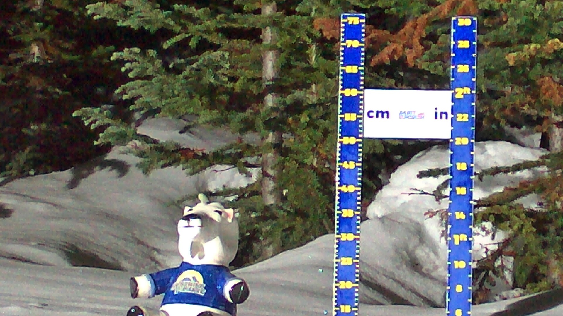 Archiv Foto Webcam Sunshine Village: Aktuelle Schneehöhe