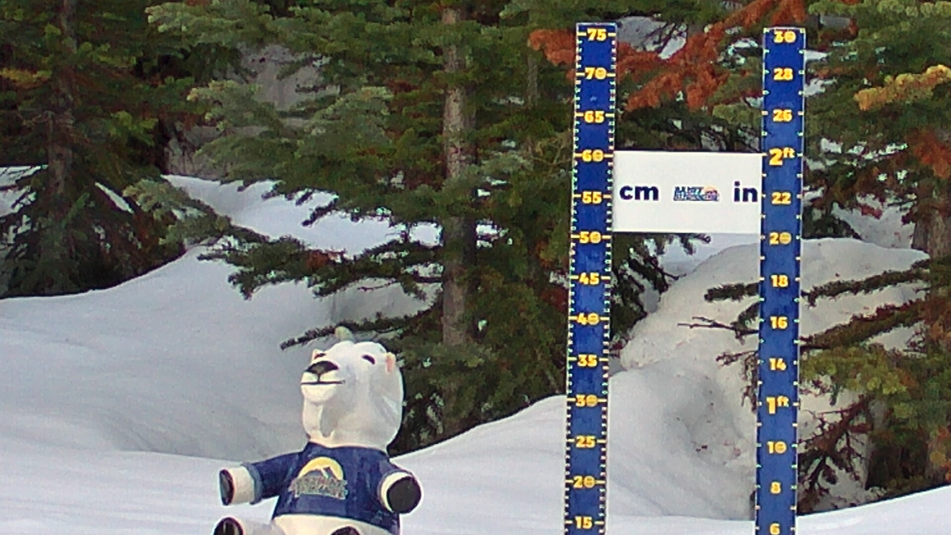Archiv Foto Webcam Sunshine Village: Aktuelle Schneehöhe
