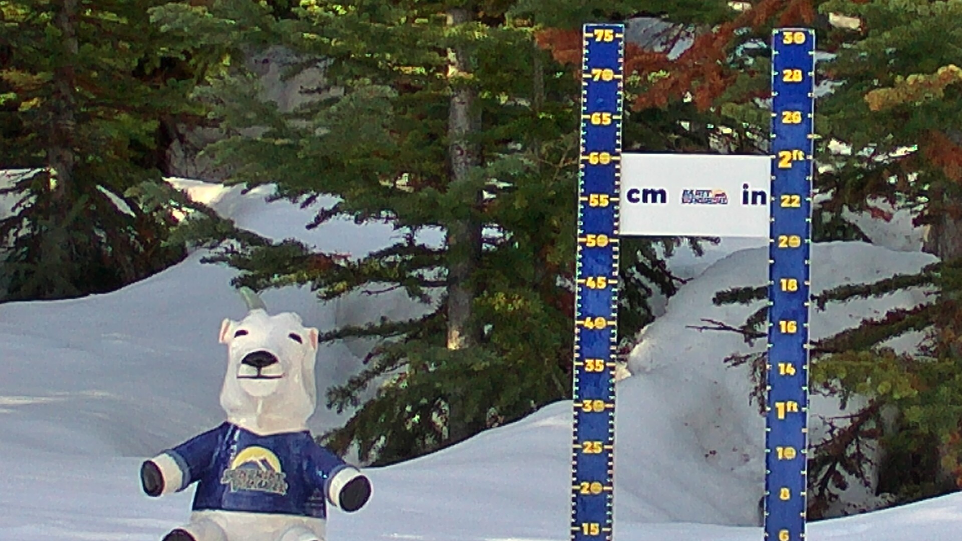 Archiv Foto Webcam Sunshine Village: Aktuelle Schneehöhe