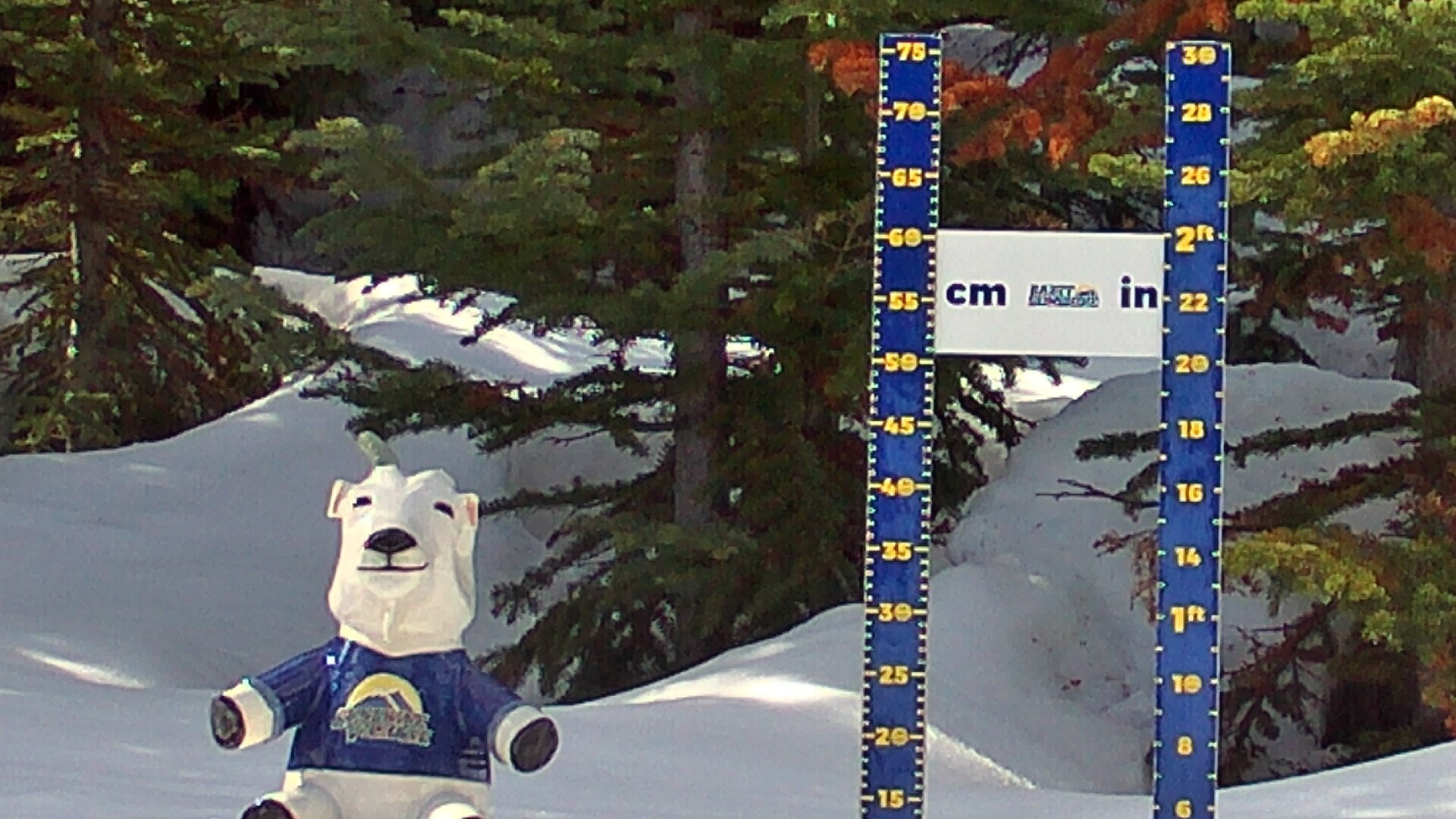 Archiv Foto Webcam Sunshine Village: Aktuelle Schneehöhe