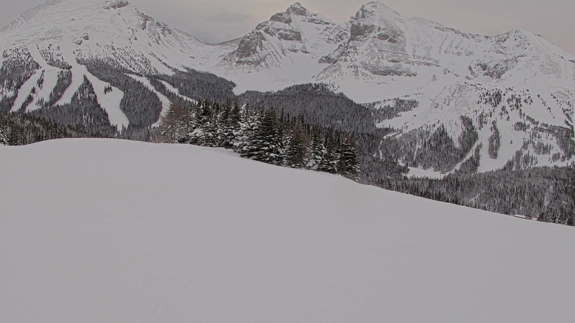 Archiv Foto Webcam Wawa - Sunshine Village