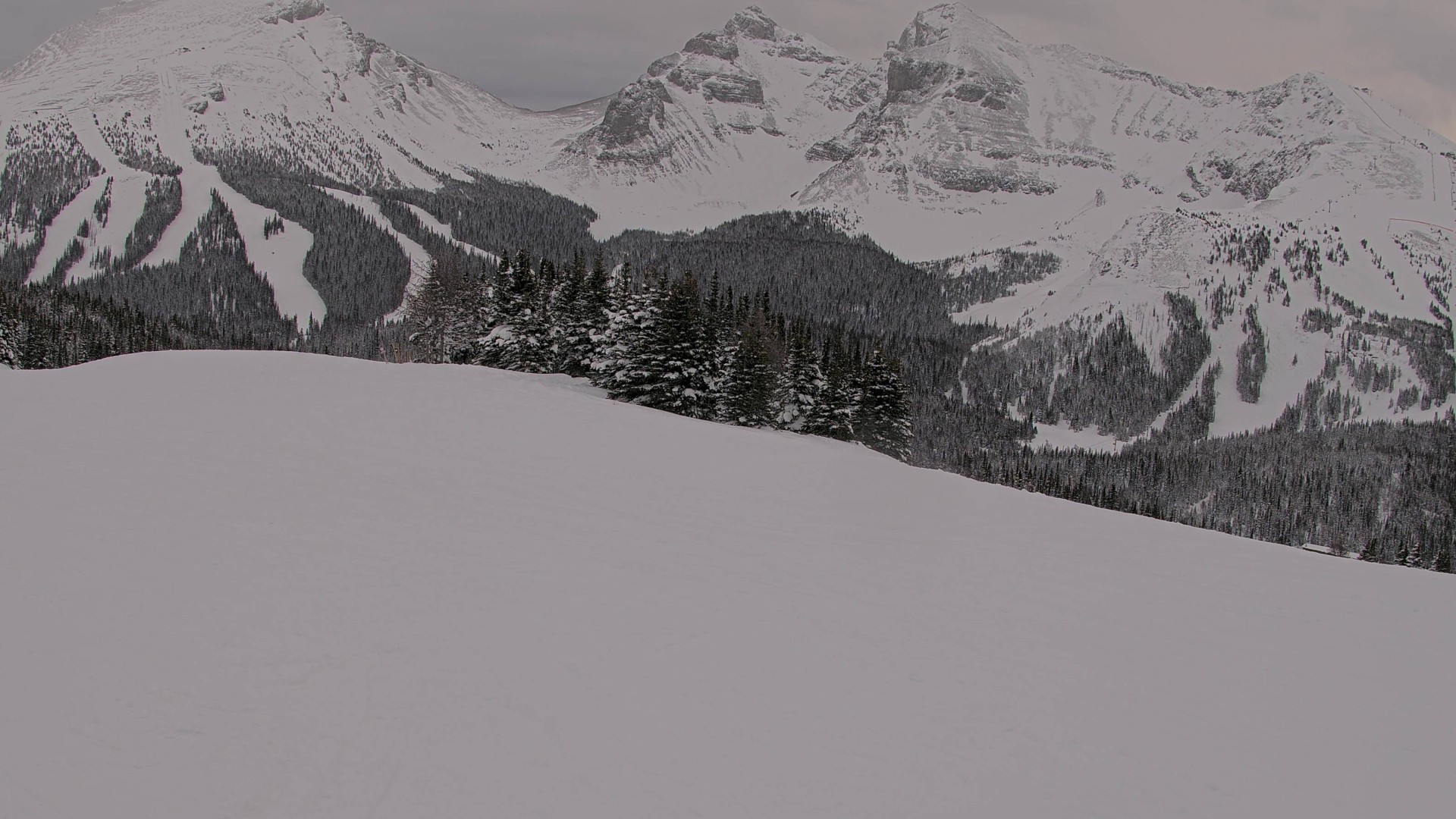 Archiv Foto Webcam Wawa - Sunshine Village