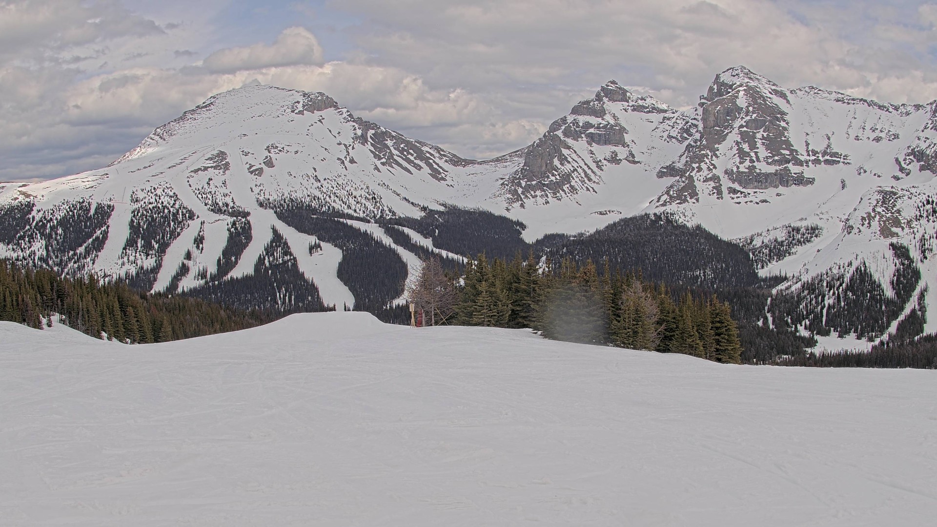 Archiv Foto Webcam Wawa - Sunshine Village
