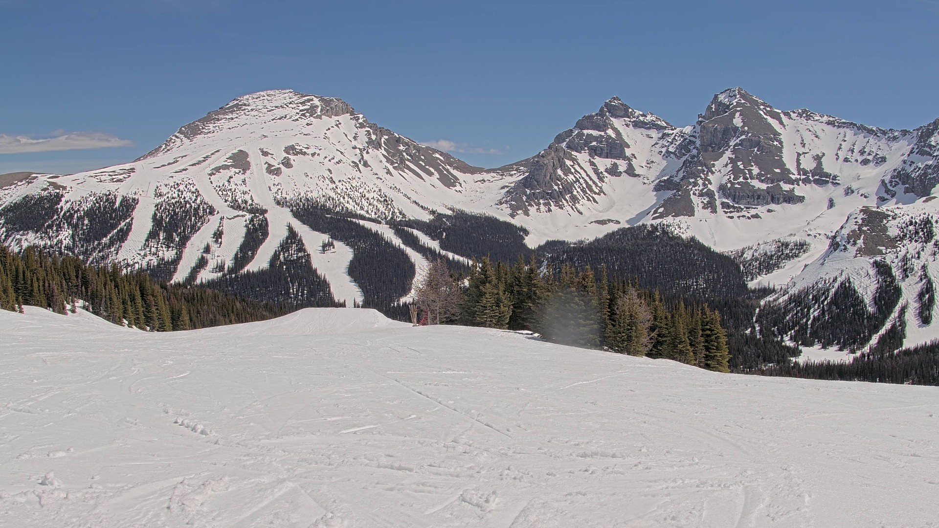 Archiv Foto Webcam Wawa - Sunshine Village