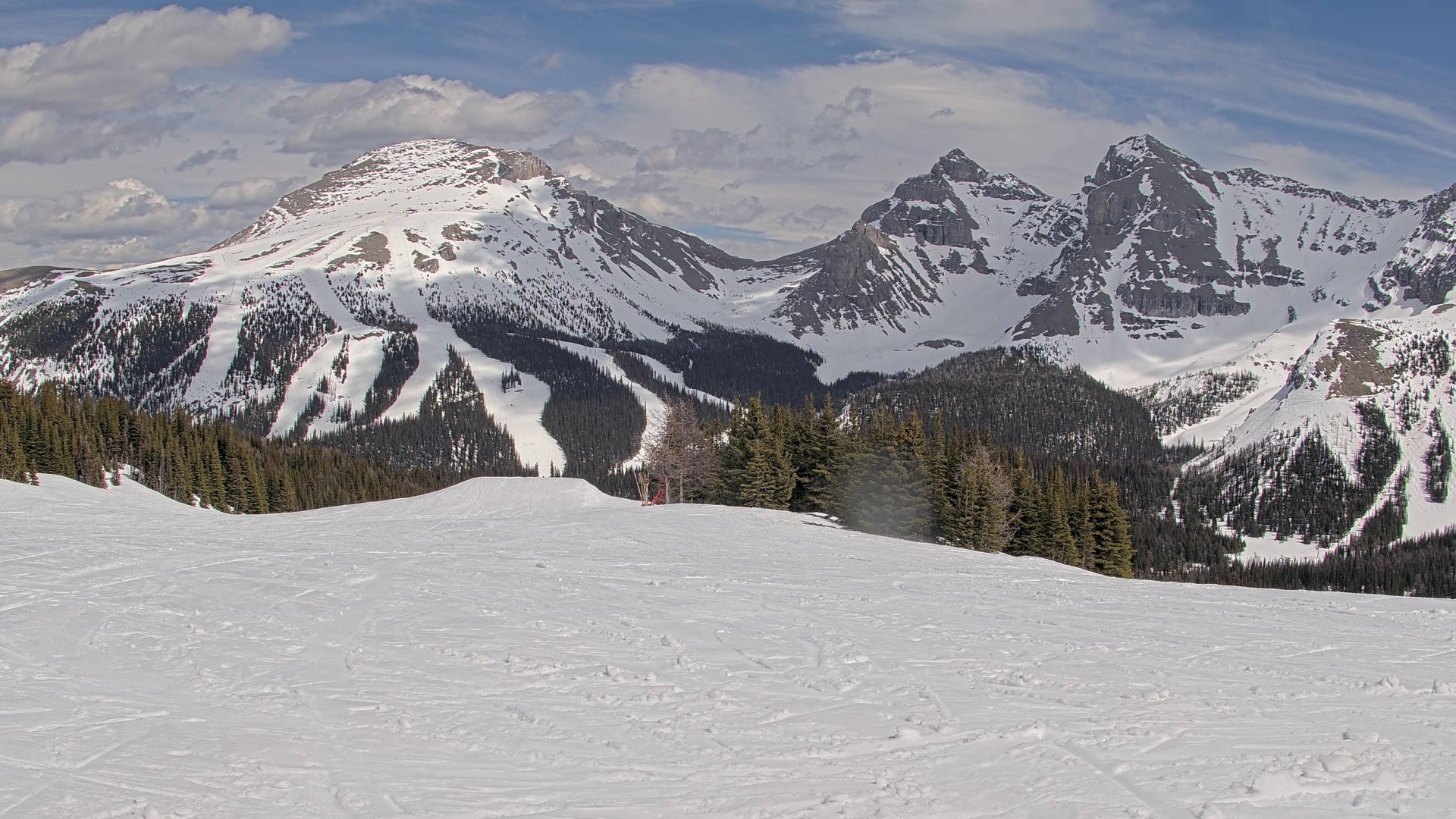 Archiv Foto Webcam Wawa - Sunshine Village