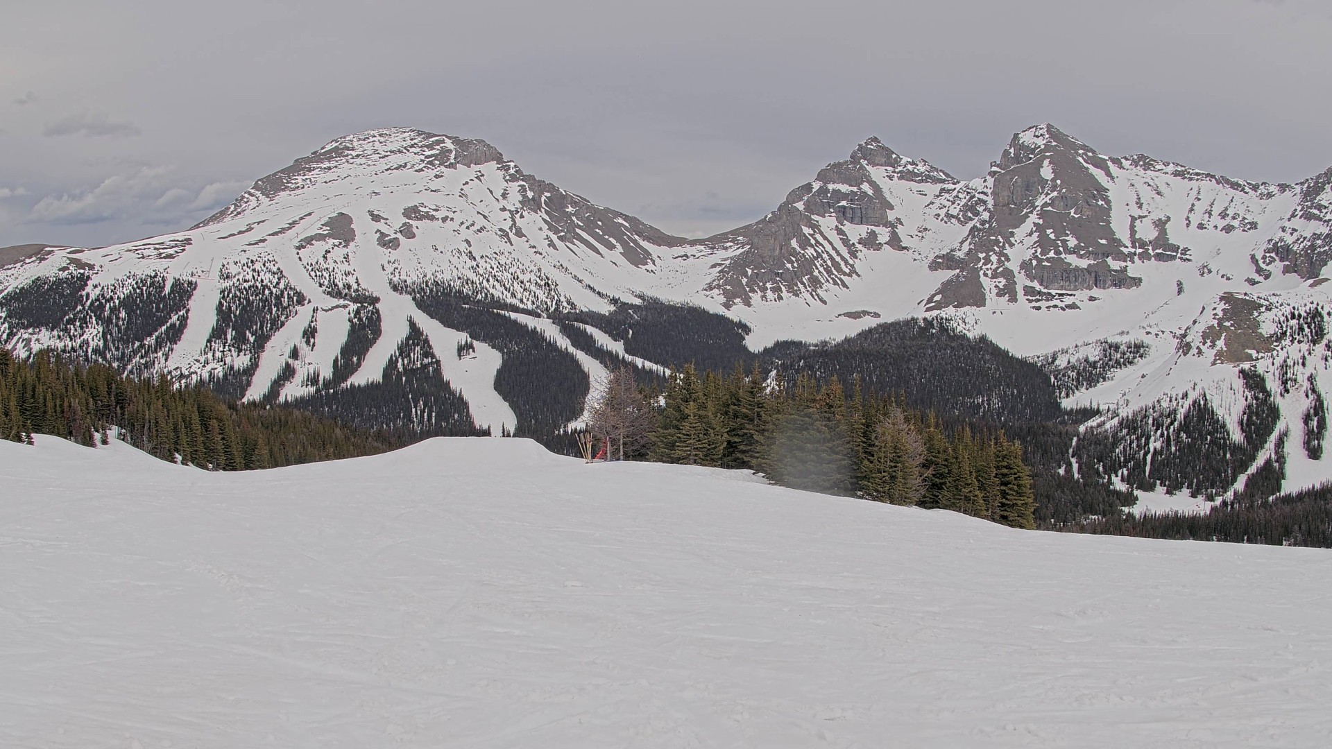 Archiv Foto Webcam Wawa - Sunshine Village