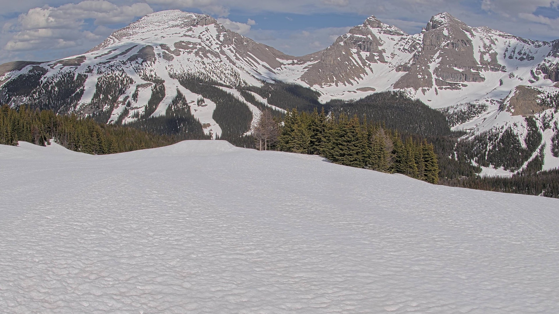 Archiv Foto Webcam Wawa - Sunshine Village