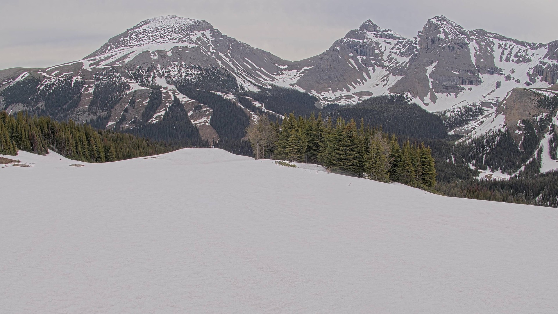 Archiv Foto Webcam Wawa - Sunshine Village