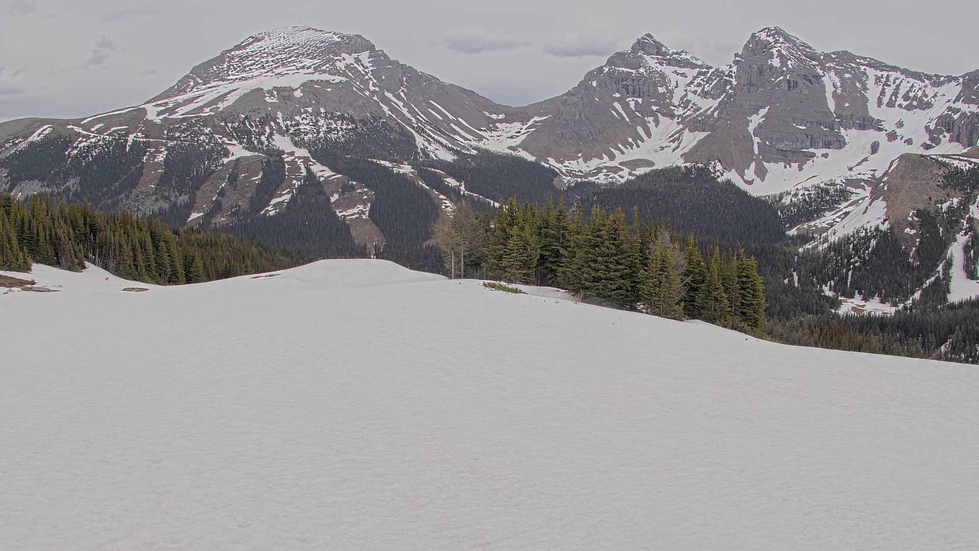 Archiv Foto Webcam Wawa - Sunshine Village