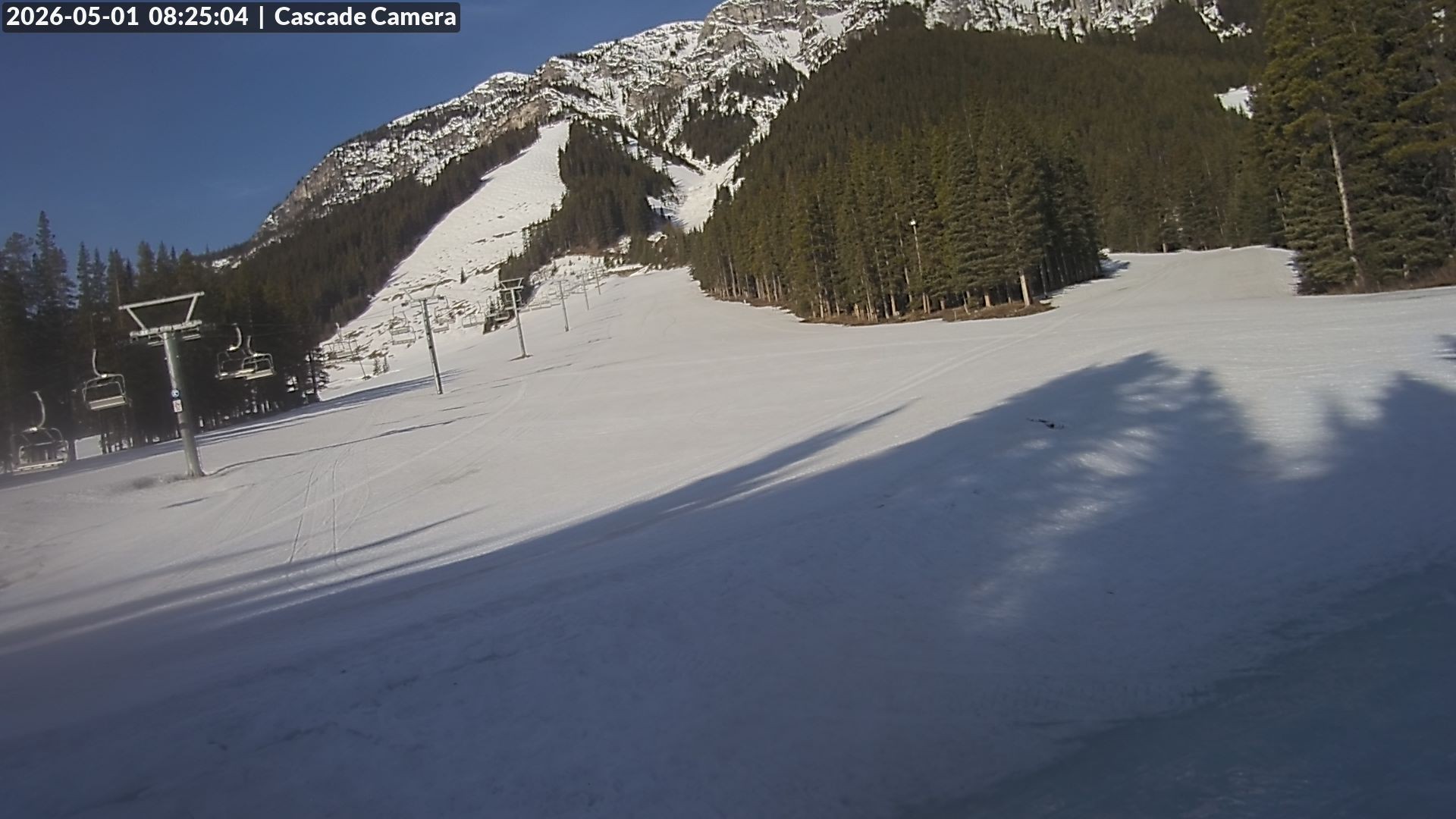 Archiv Foto Webcam Banff Norquay: Cascade Lift