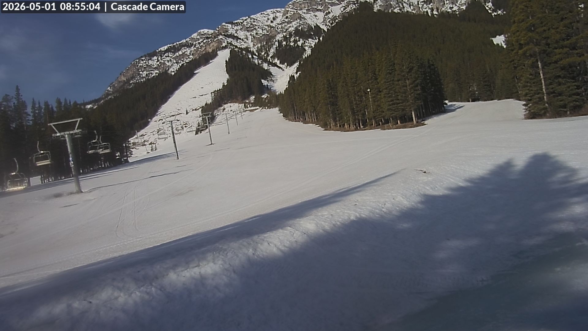 Archiv Foto Webcam Banff Norquay: Cascade Lift