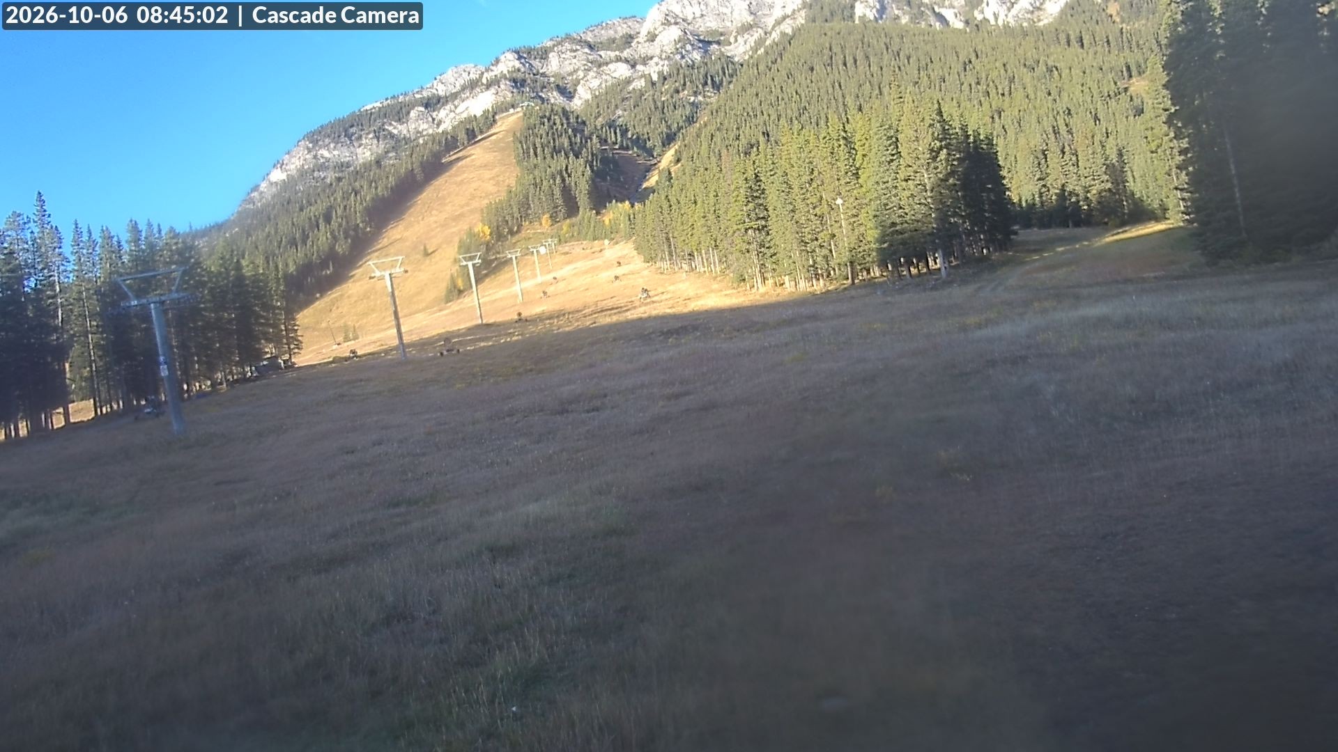 Archived image Webcam Banff Norquay: Cascade Lift