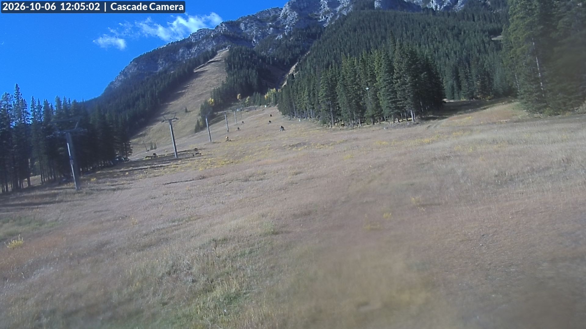 Archived image Webcam Banff Norquay: Cascade Lift
