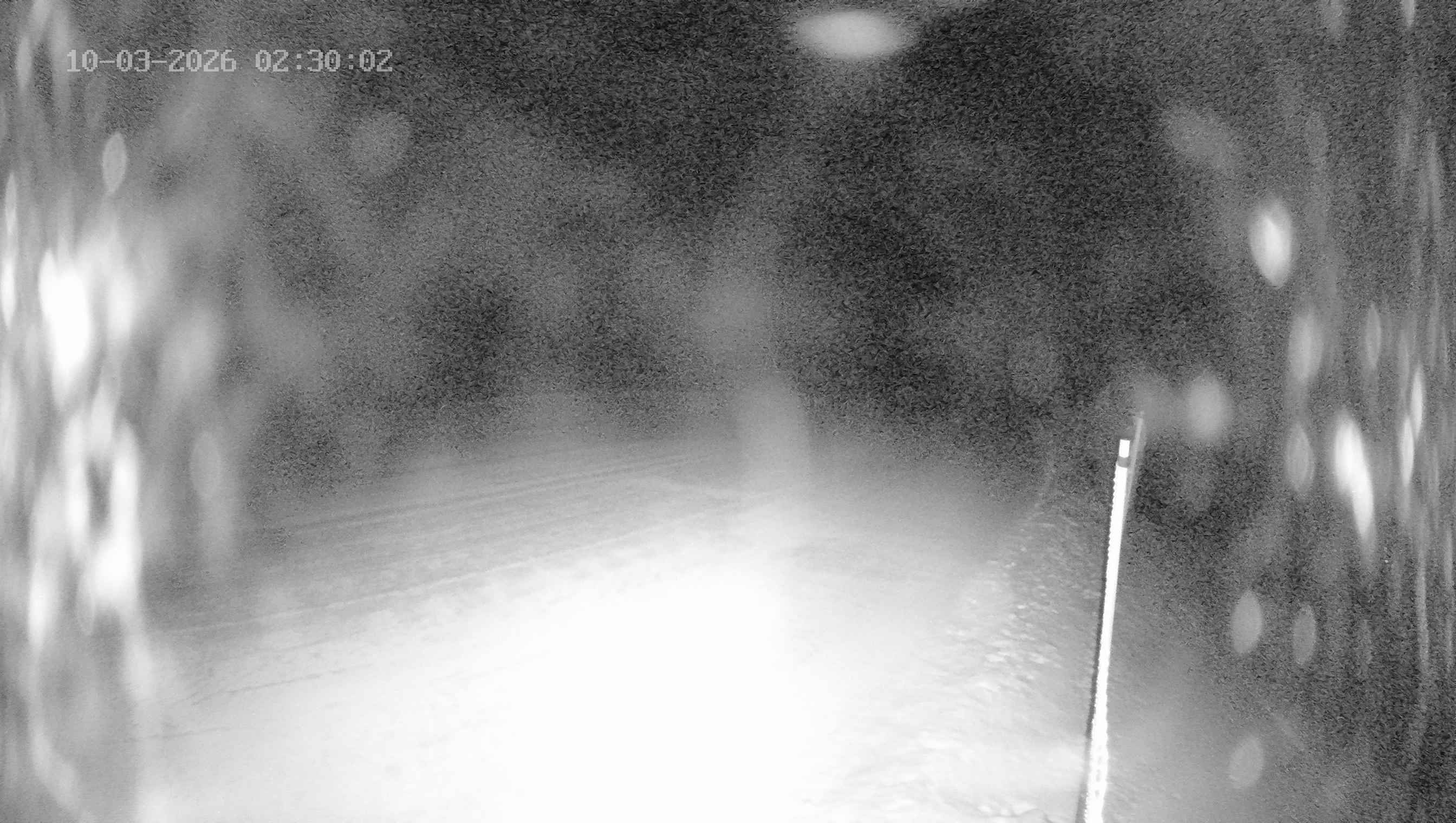 Archiv Foto Webcam Ladurns: Blick von der Bergstation Wastenegg