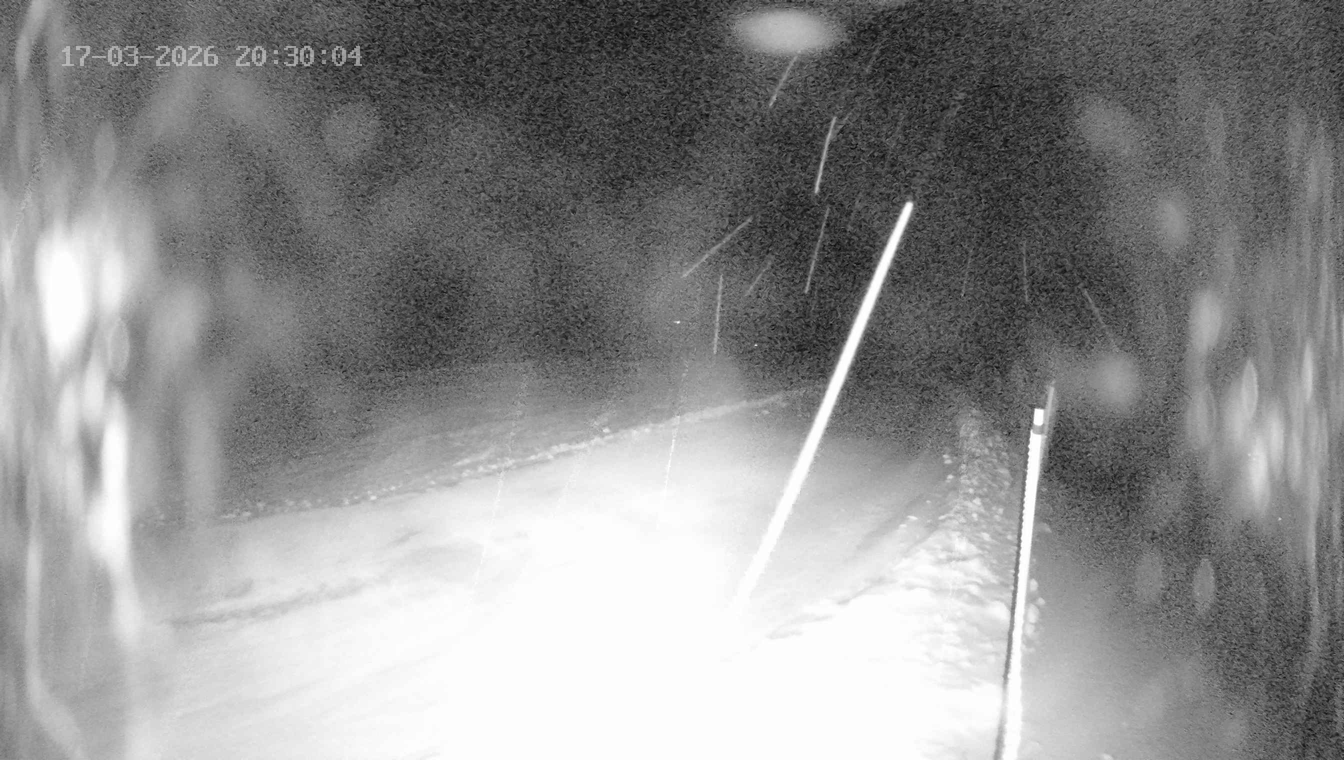 Archived image Webcam Ladurns - Wastenegg Top Station