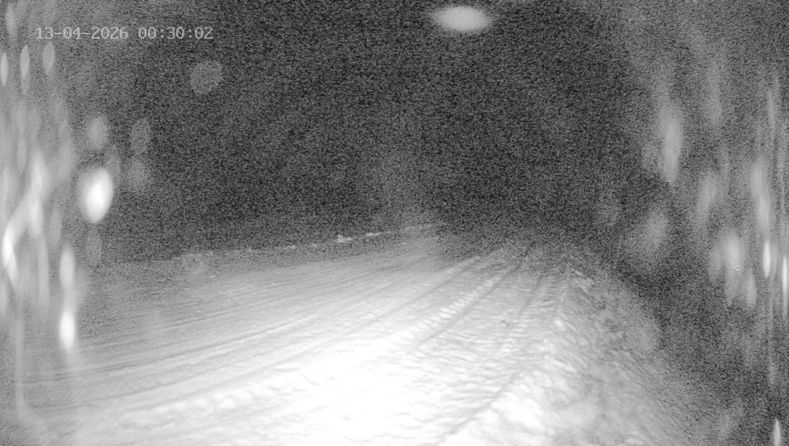 Archived image Webcam Ladurns - Wastenegg Top Station