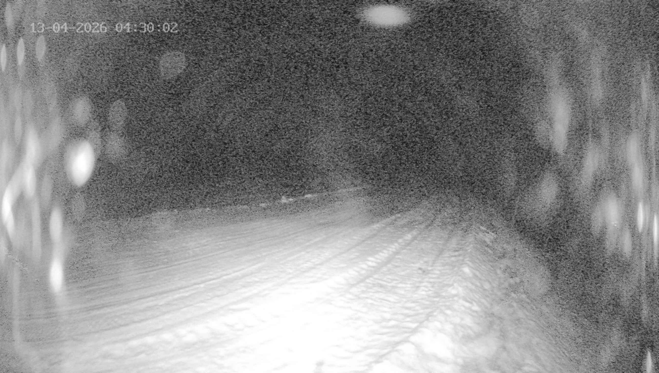 Archived image Webcam Ladurns - Wastenegg Top Station