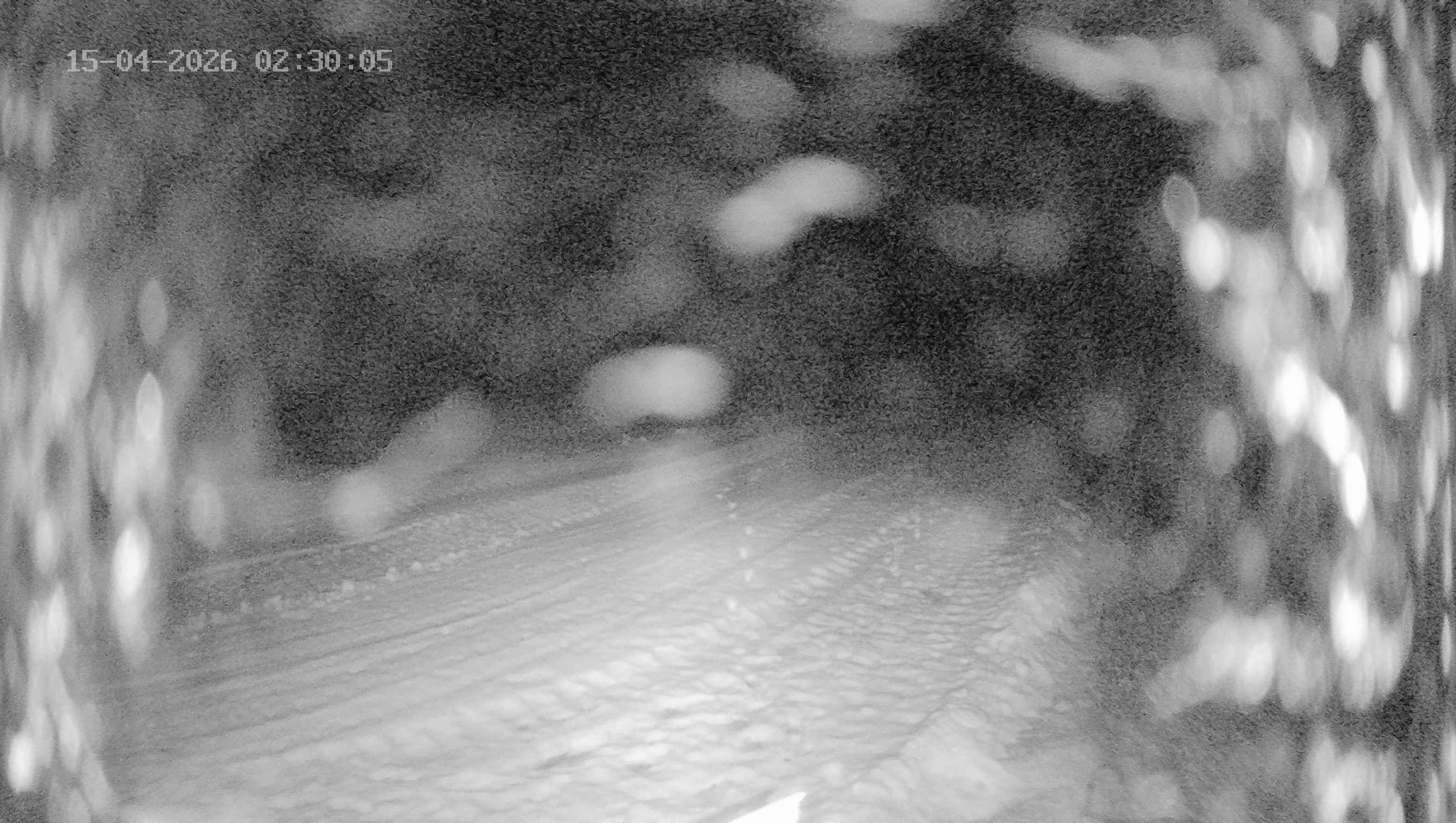 Archiv Foto Webcam Ladurns: Blick von der Bergstation Wastenegg