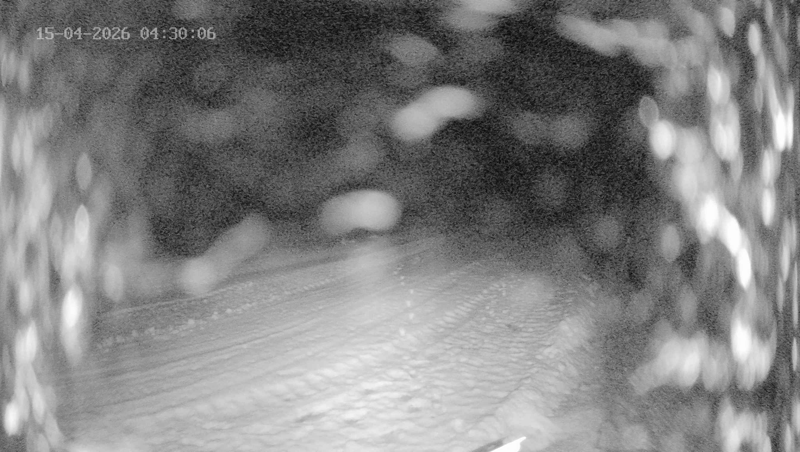 Archiv Foto Webcam Ladurns: Blick von der Bergstation Wastenegg