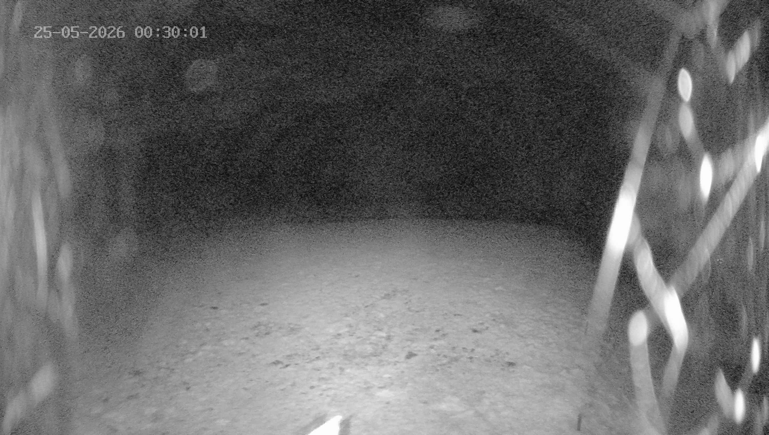 Archived image Webcam Ladurns - Wastenegg Top Station