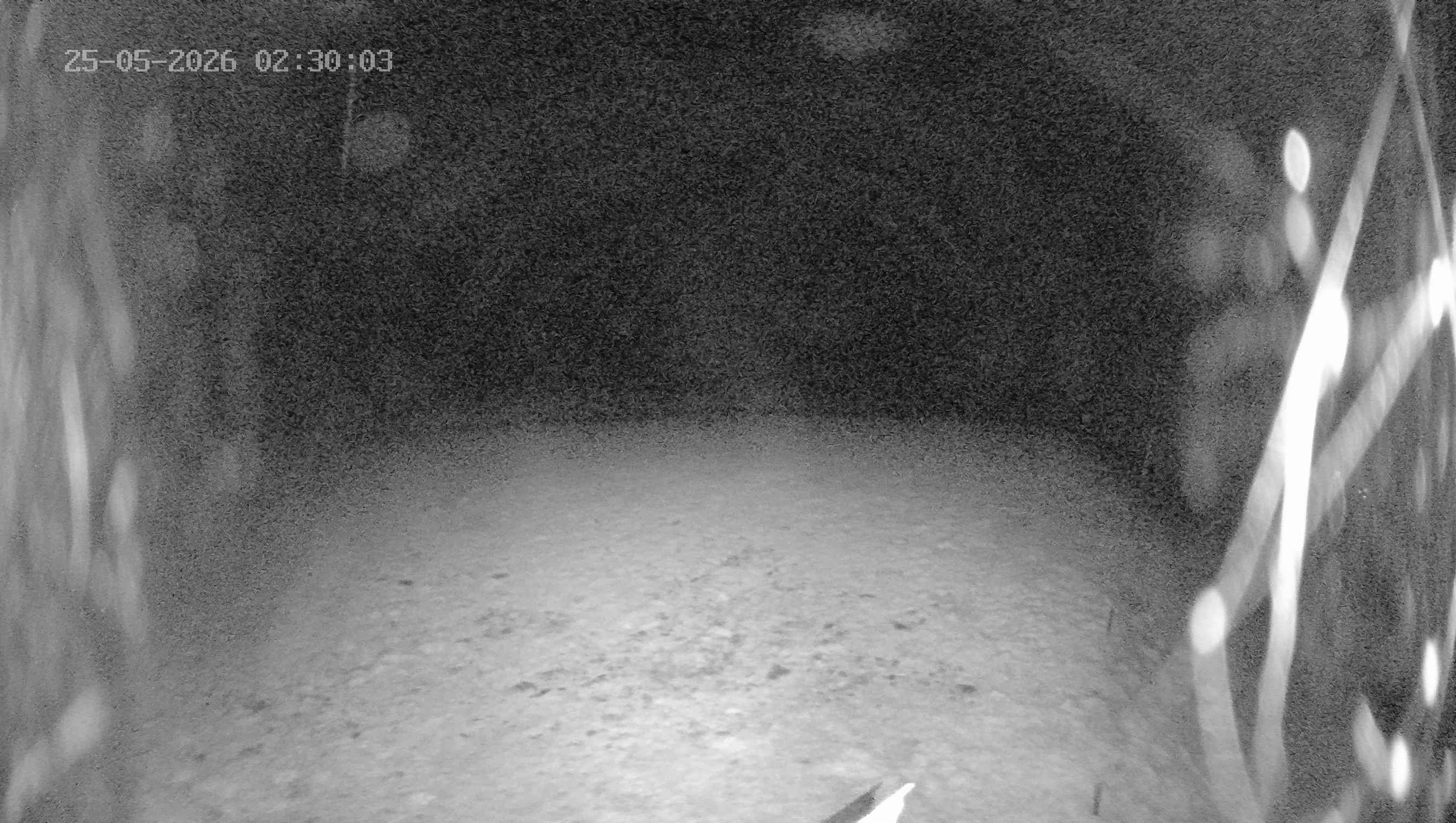 Archived image Webcam Ladurns - Wastenegg Top Station