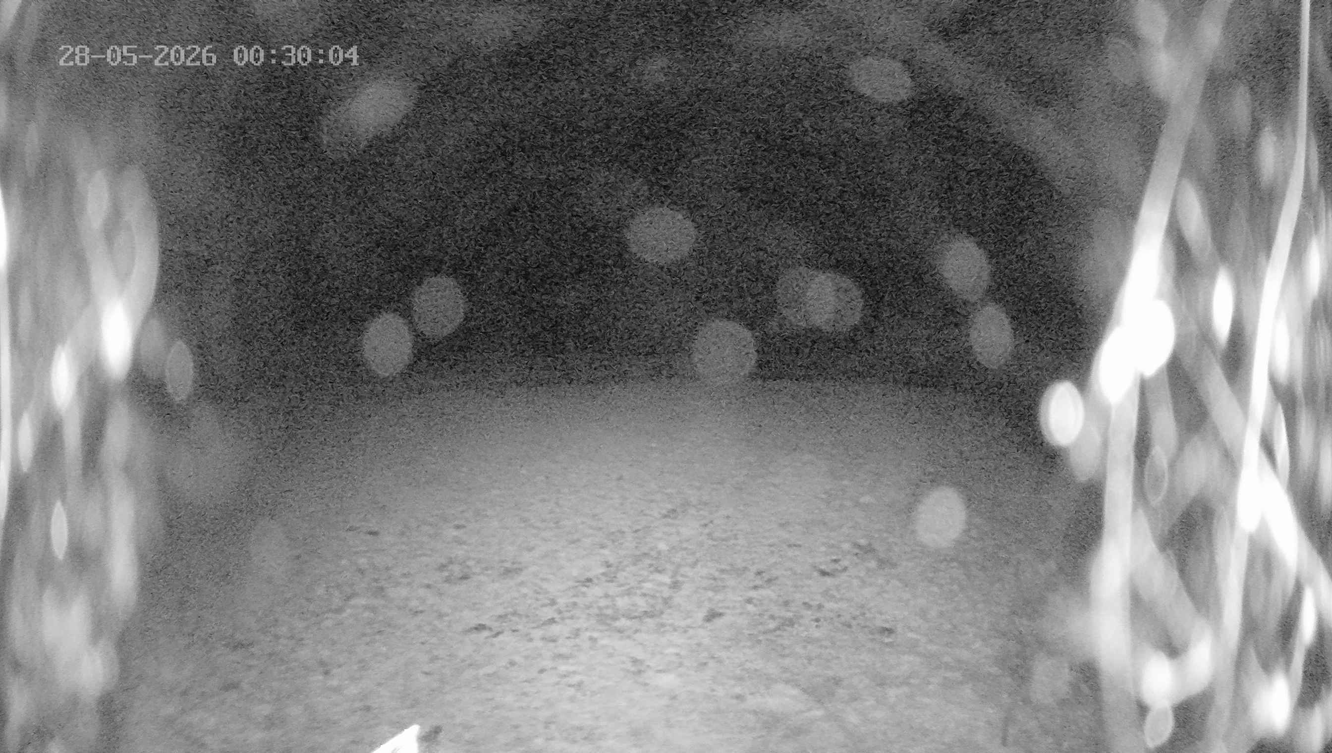 Archived image Webcam Ladurns - Wastenegg Top Station