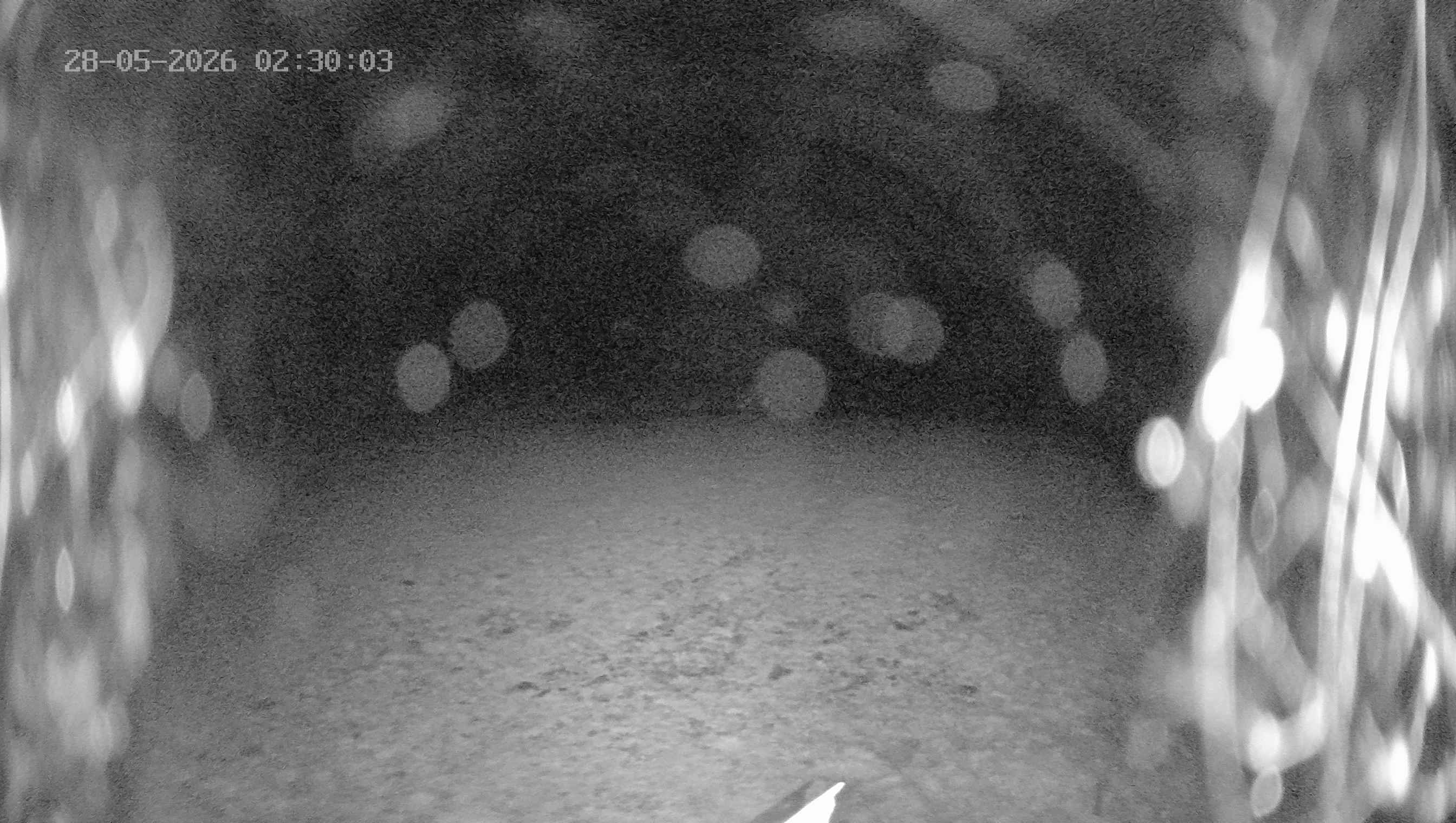 Archived image Webcam Ladurns - Wastenegg Top Station