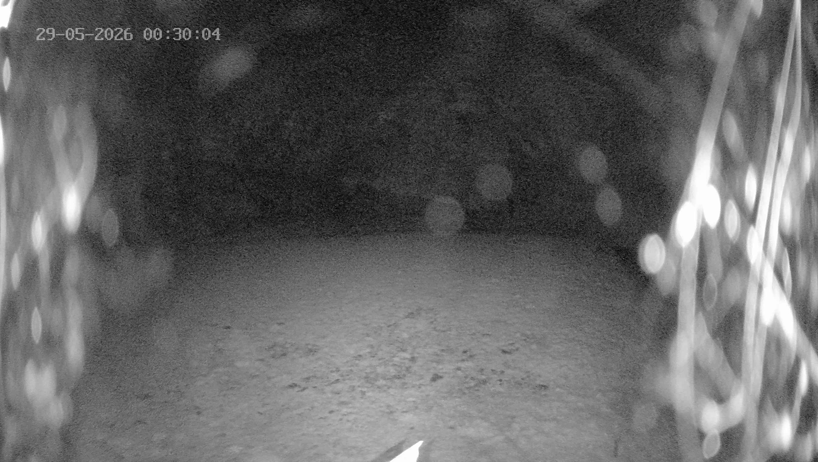 Archived image Webcam Ladurns - Wastenegg Top Station