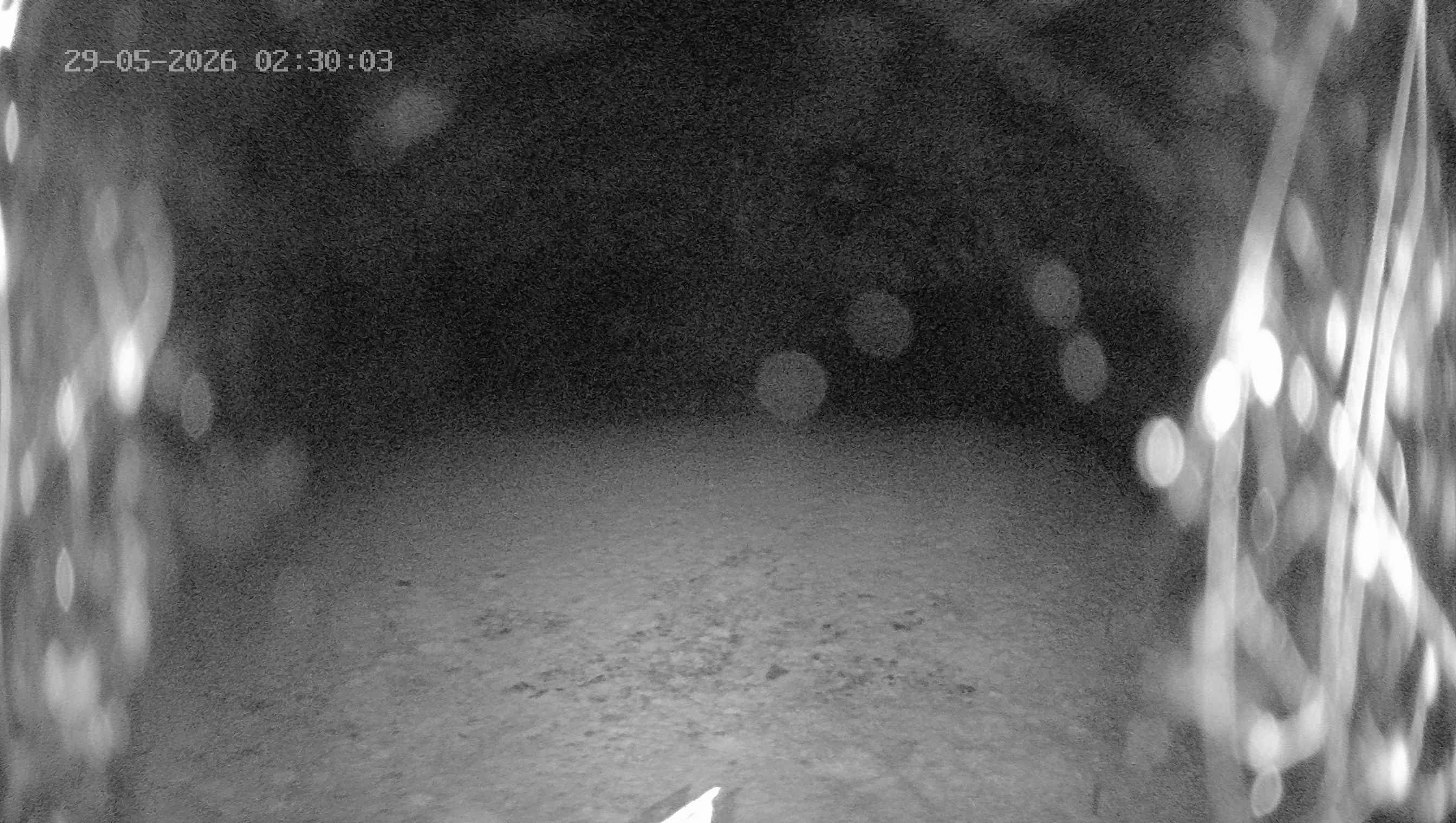Archived image Webcam Ladurns - Wastenegg Top Station