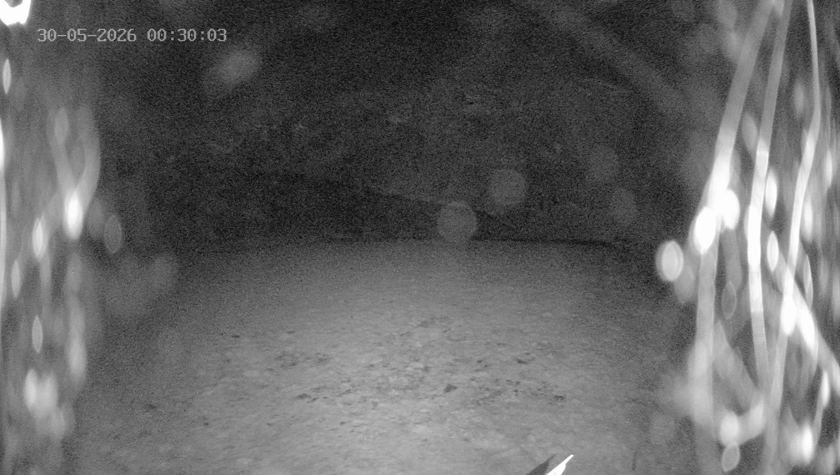 Archived image Webcam Ladurns - Wastenegg Top Station