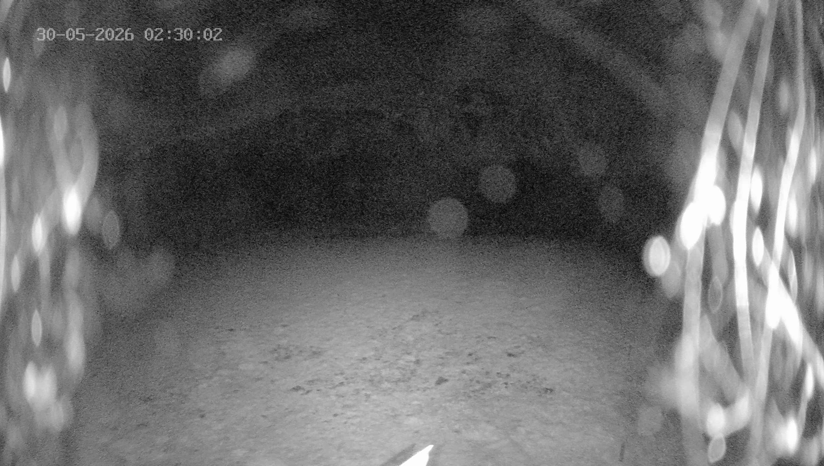 Archived image Webcam Ladurns - Wastenegg Top Station