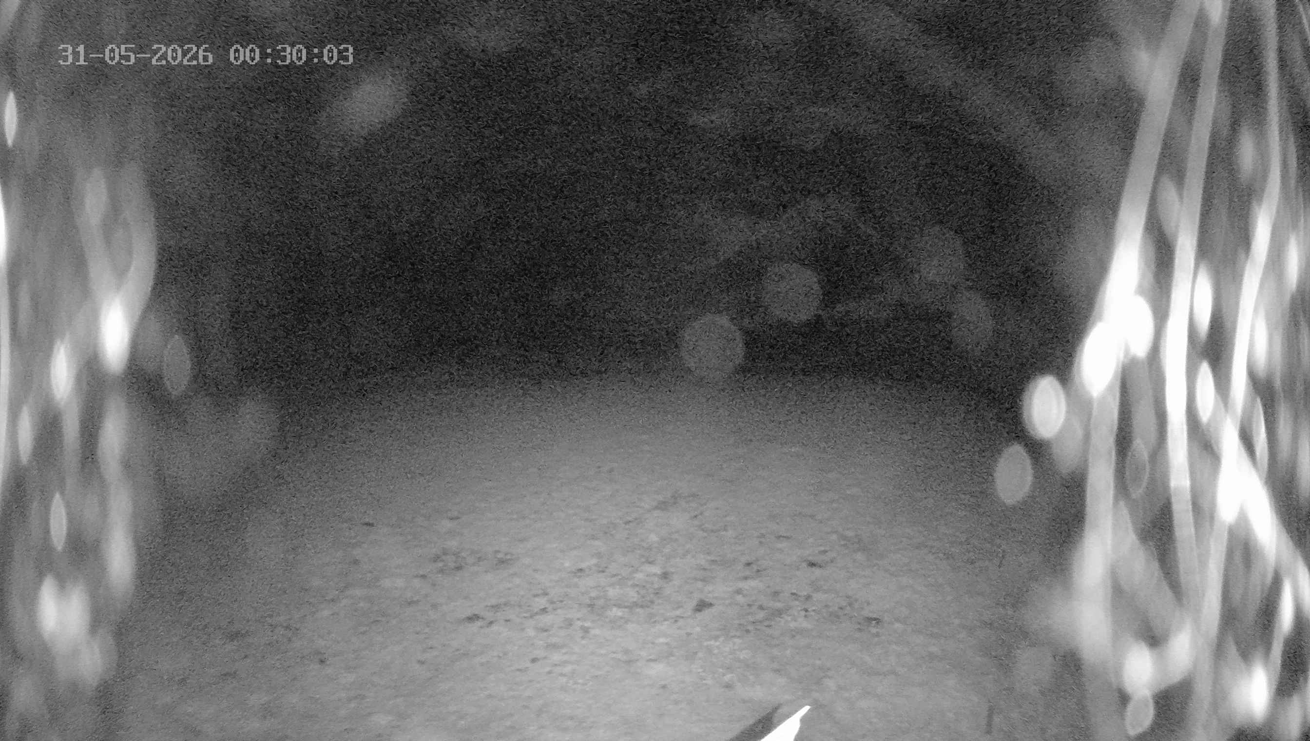 Archived image Webcam Ladurns - Wastenegg Top Station