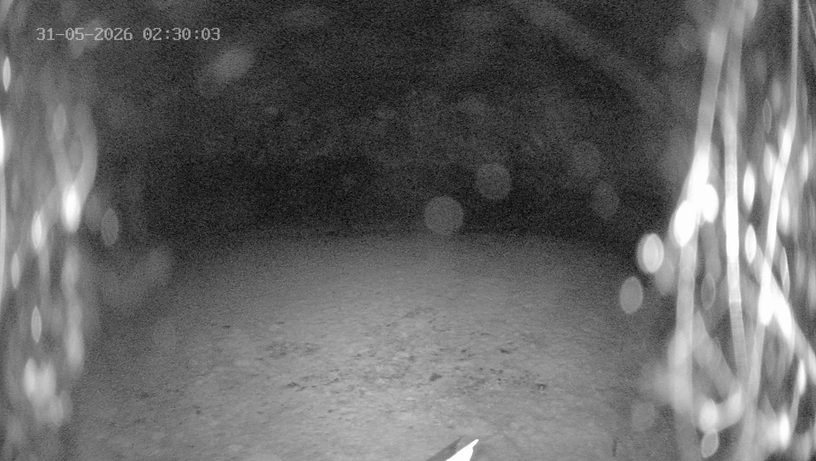Archived image Webcam Ladurns - Wastenegg Top Station