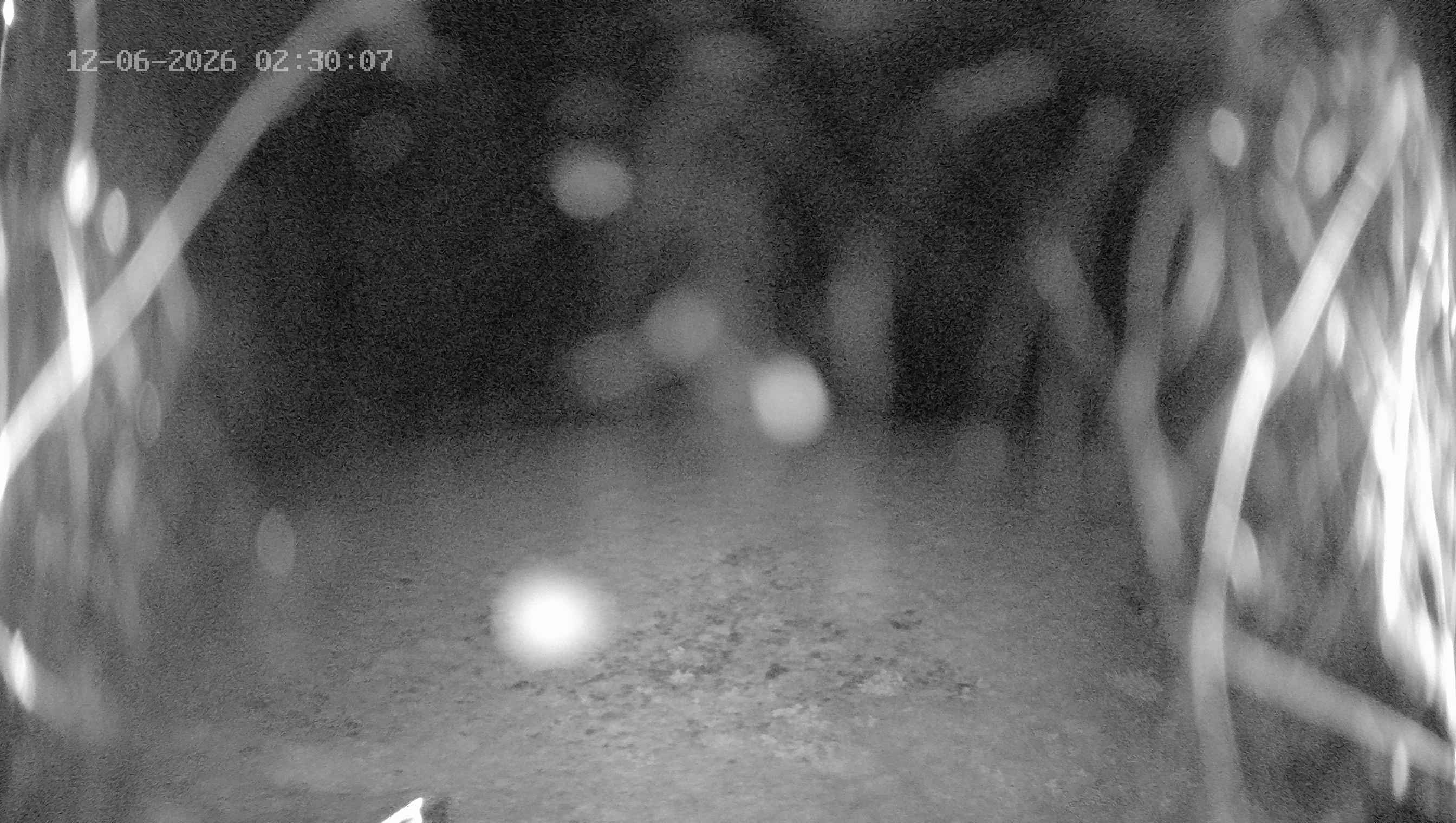 Archiv Foto Webcam Ladurns: Blick von der Bergstation Wastenegg