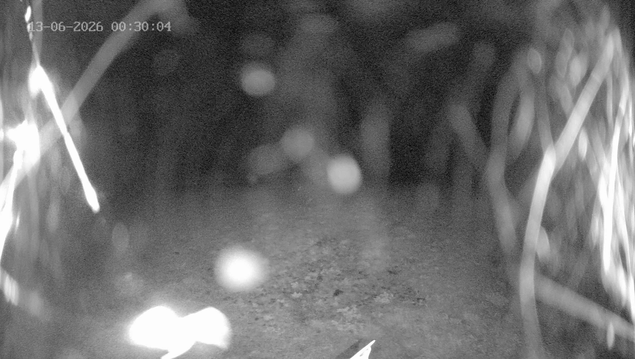 Archiv Foto Webcam Ladurns: Blick von der Bergstation Wastenegg