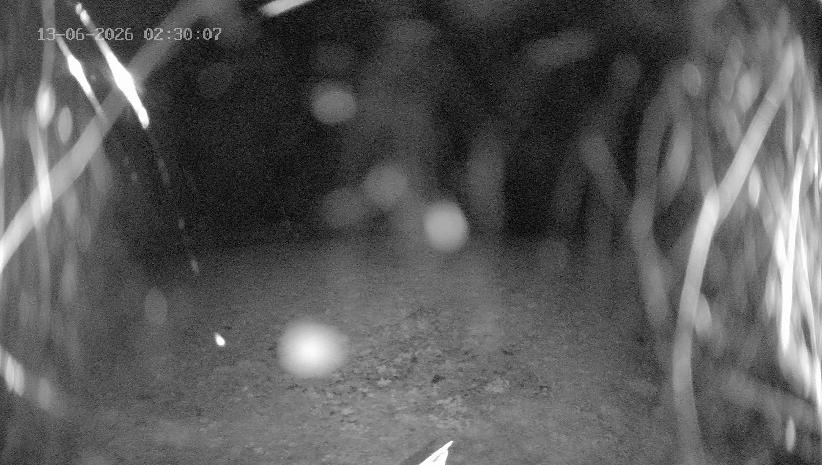 Archiv Foto Webcam Ladurns: Blick von der Bergstation Wastenegg