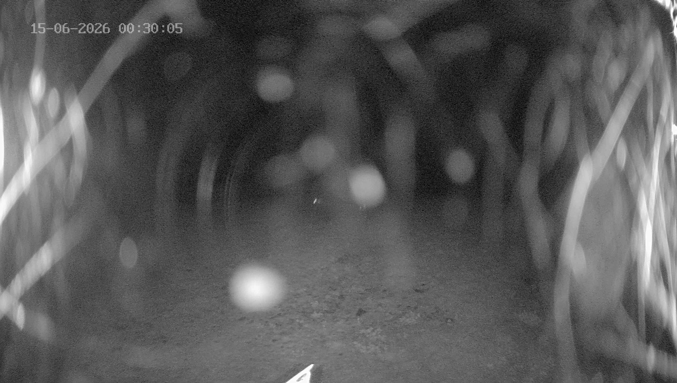 Archiv Foto Webcam Ladurns: Blick von der Bergstation Wastenegg