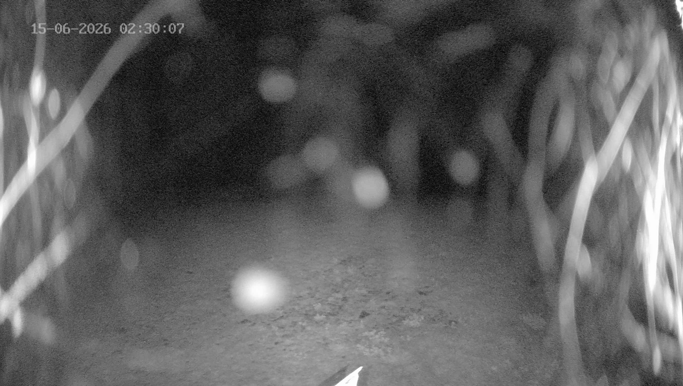 Archiv Foto Webcam Ladurns: Blick von der Bergstation Wastenegg