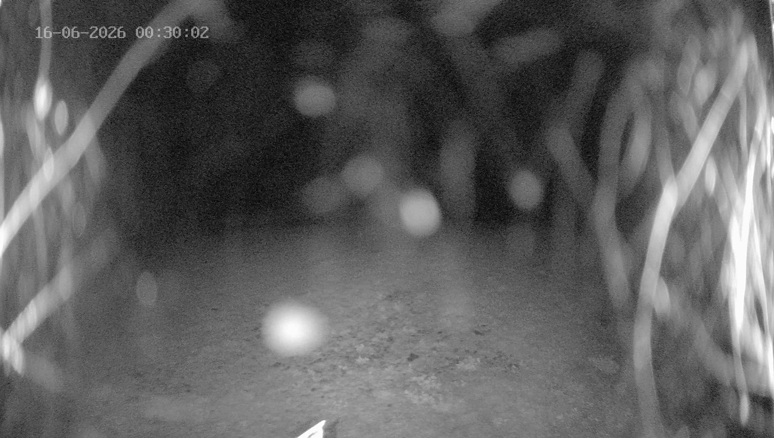 Archived image Webcam Ladurns - Wastenegg Top Station