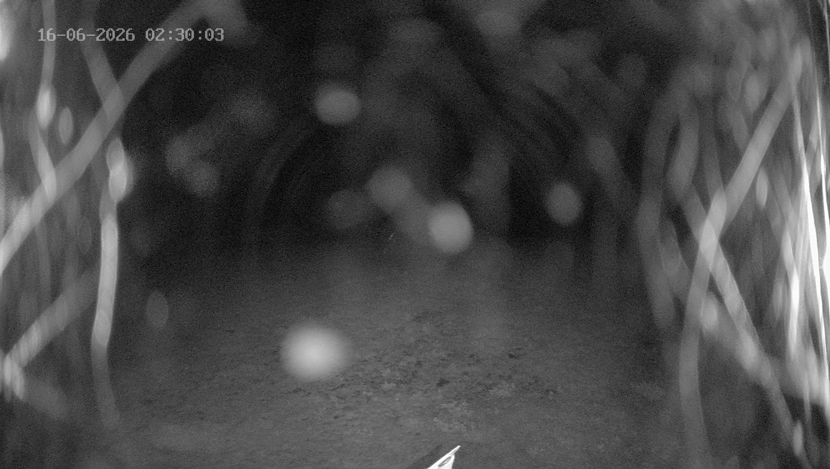 Archived image Webcam Ladurns - Wastenegg Top Station