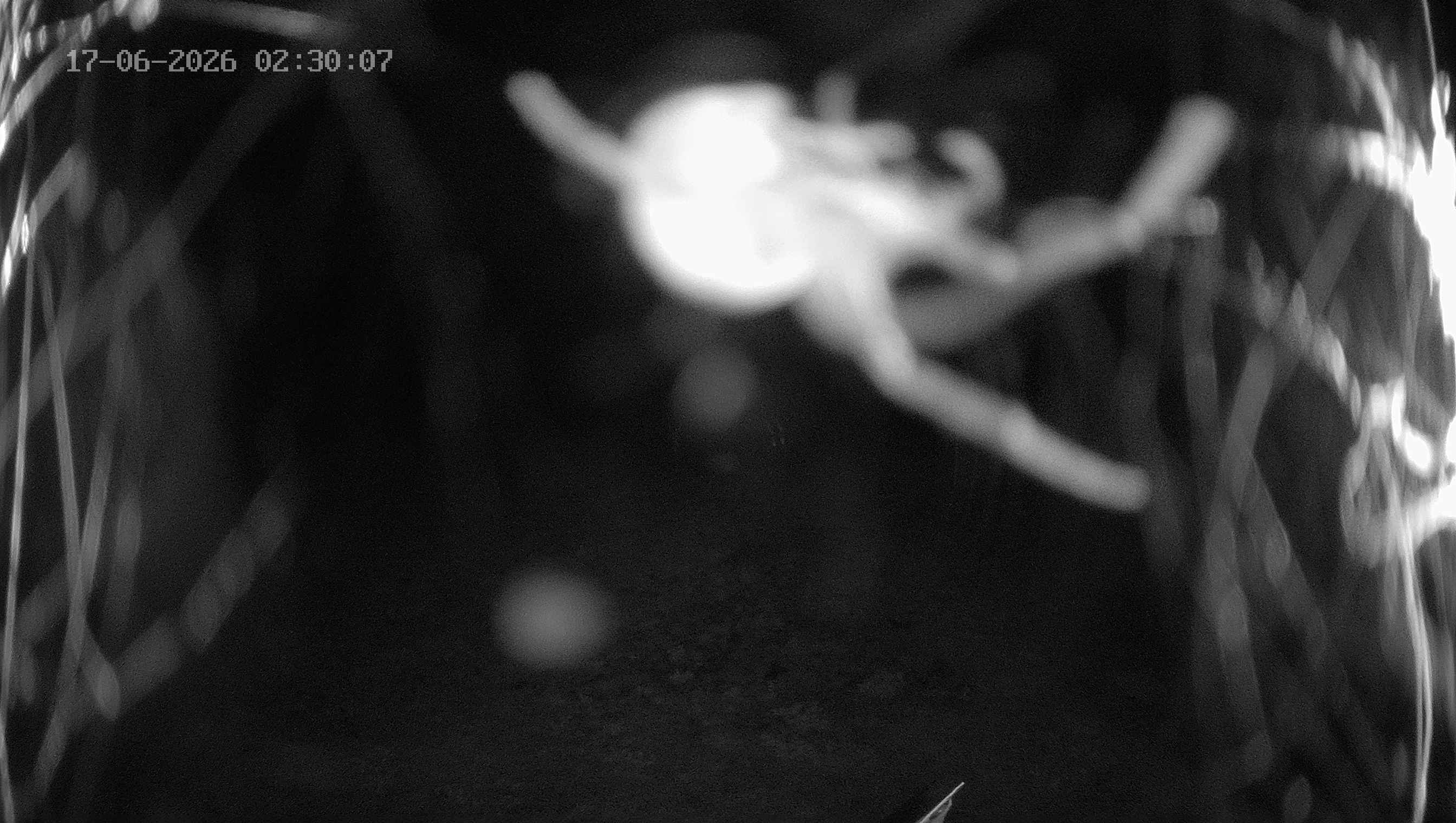 Archived image Webcam Ladurns - Wastenegg Top Station