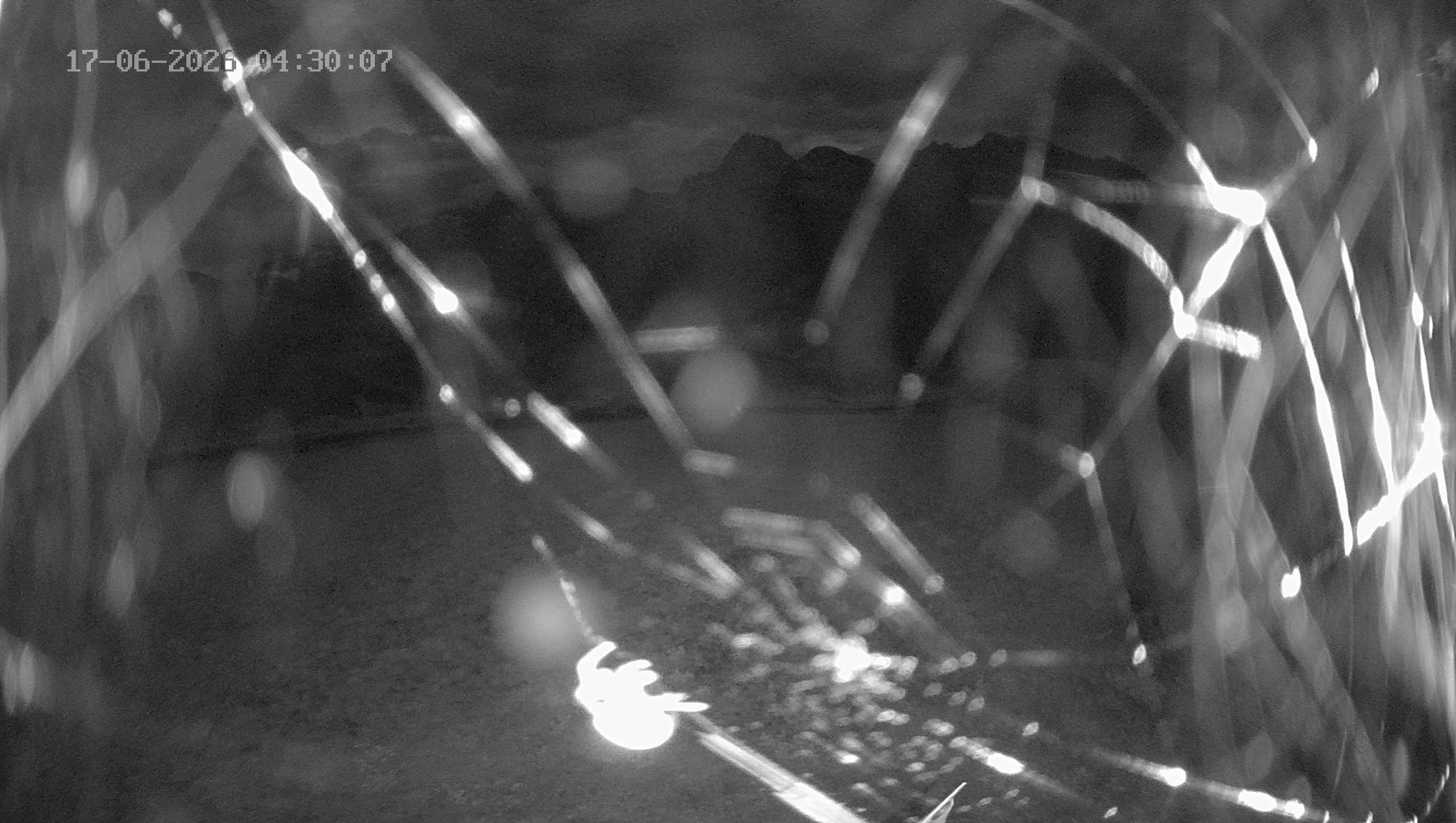 Archived image Webcam Ladurns - Wastenegg Top Station