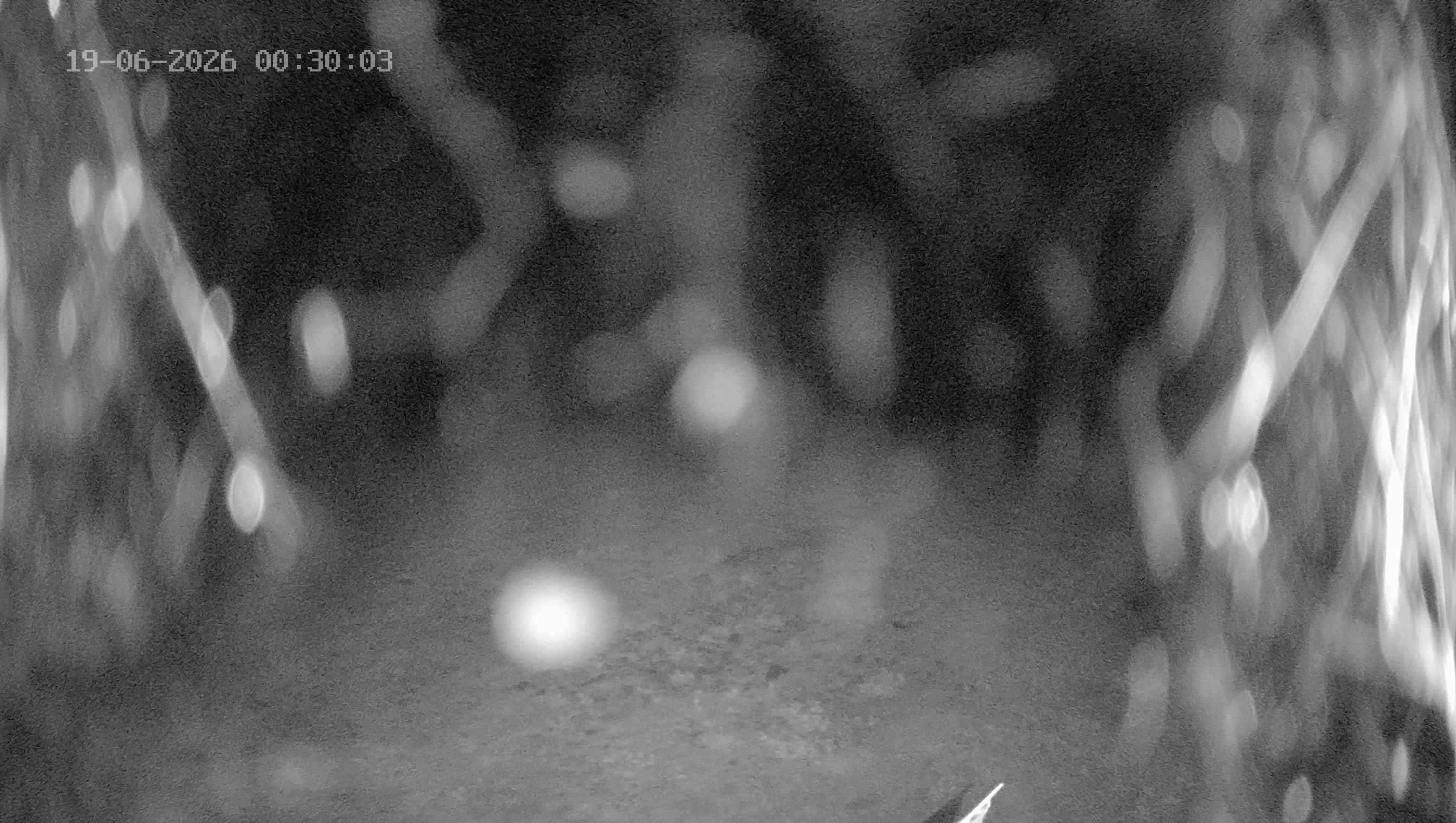 Archiv Foto Webcam Ladurns: Blick von der Bergstation Wastenegg