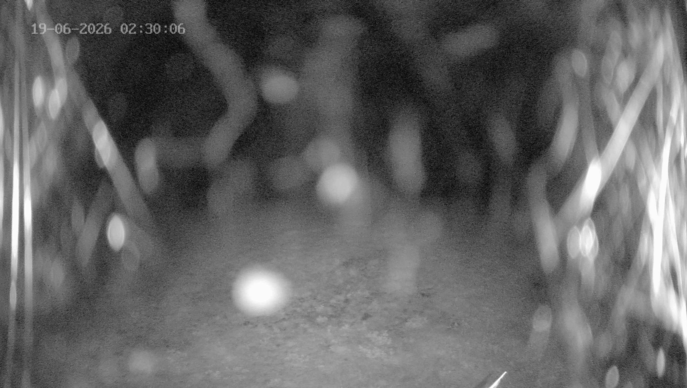 Archived image Webcam Ladurns - Wastenegg Top Station